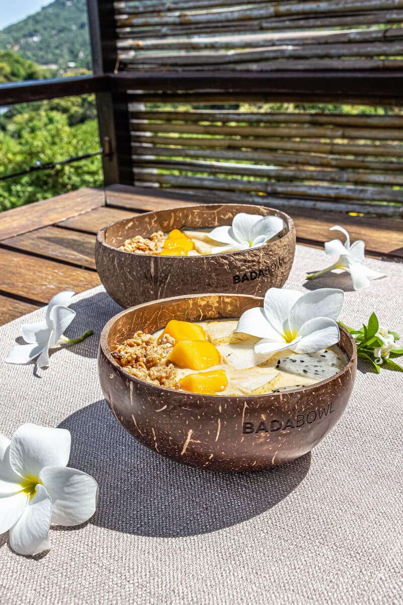 Bols en noix de coco